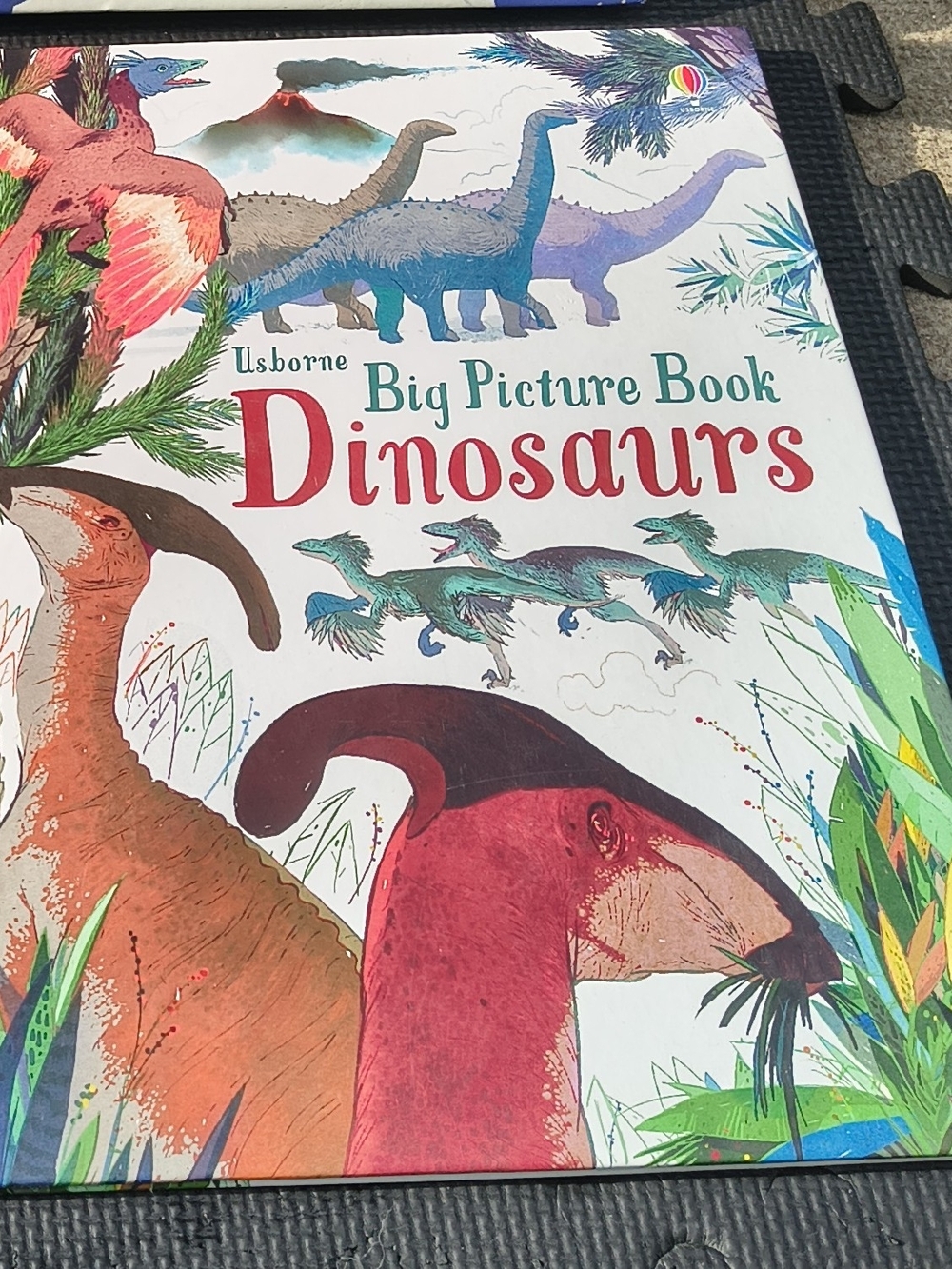 Usborne Big Picture Book Dinosaurs - Colorful Illustrated Hardcover